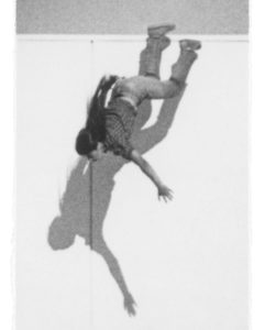 Sarah Charlesworth, Pairing Picture to its Essence