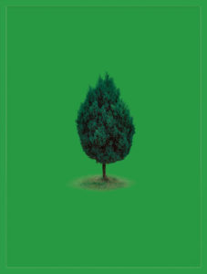 Sarah Charlesworth, Pairing Picture to its Essence