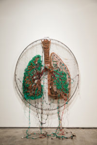 Reena Saini Kallat - Earth Families