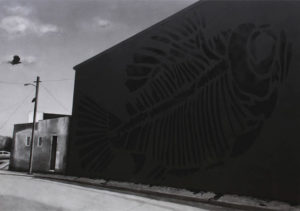 Subhakar Tadi, Graffiti series