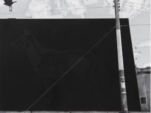 Subhakar Tadi, Graffiti series