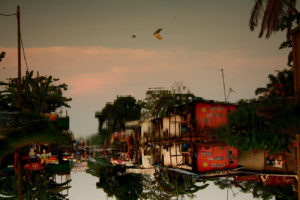 Dayanita Singh