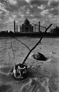 Dayanita Singh