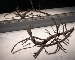 Subodh Gupta
