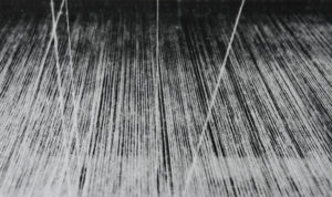 Nasreen Mohamedi, Black and white photograph